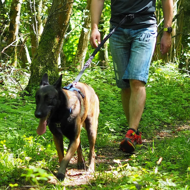 Laisse ceinture Otium pour chiens KYFLIE
