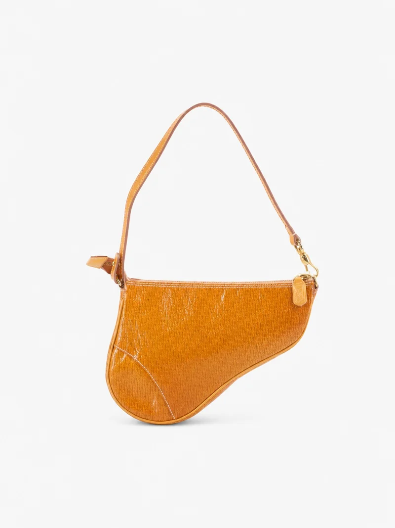 Christian Dior Saddle Pochette