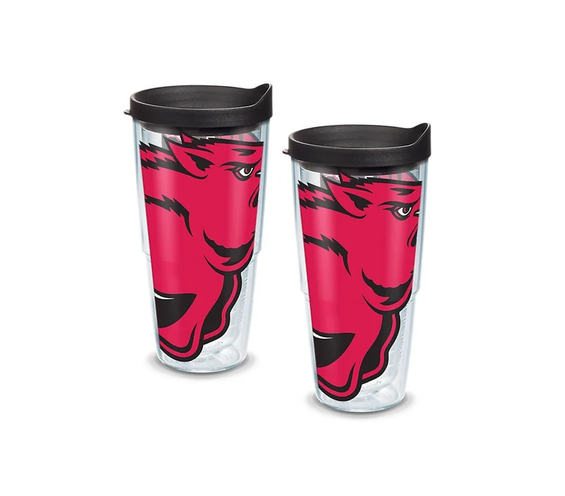 University of Arkansas Colossal 24 oz. Tervis Tumbler with Lid - (Set of 2)