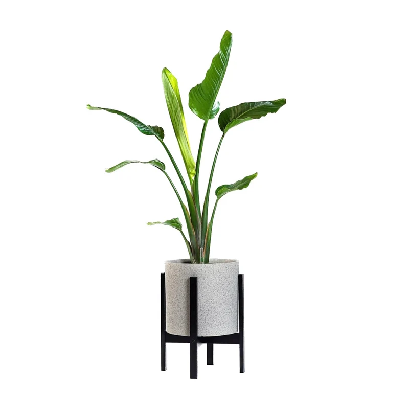 VAXA - Jardinières Auto-Arrosantes avec Pieds en Bambou