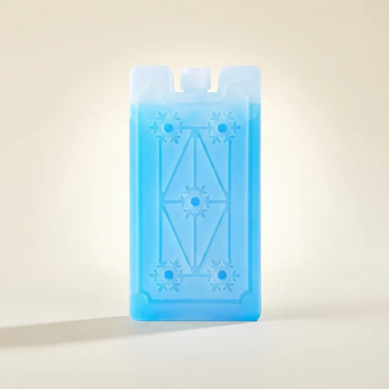 Pain de Glace pour sac isotherme