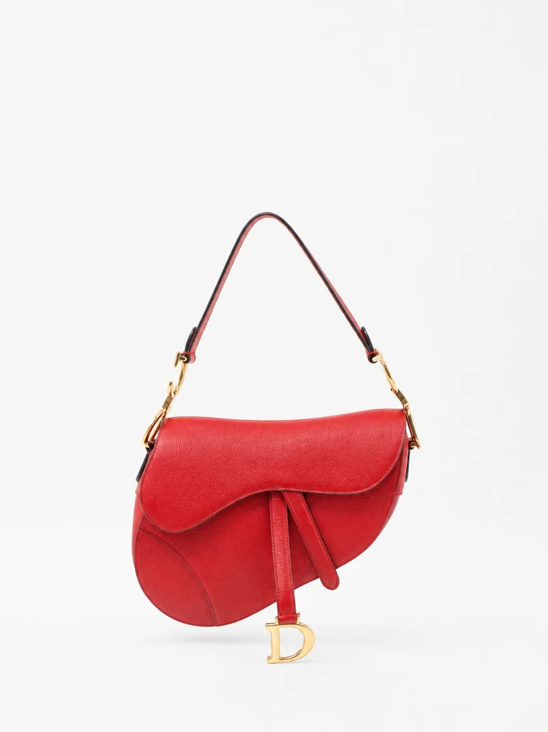 Christian Dior Saddle