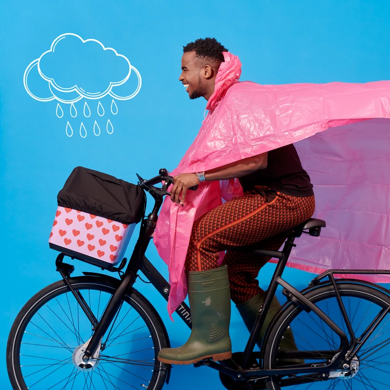 Fietsmand Cover, Basky, Regenhoes