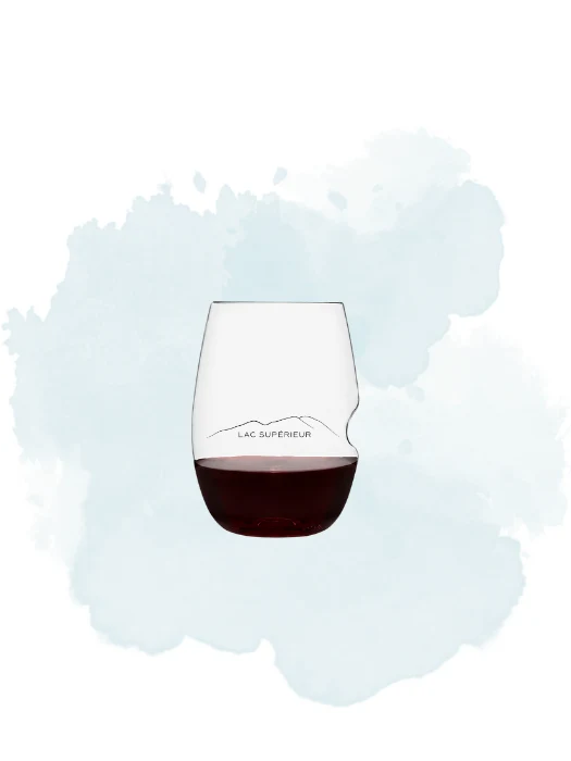 Boîte de 6 verres à vin en polymère SERIE LAC SUPERIEUR- Govino