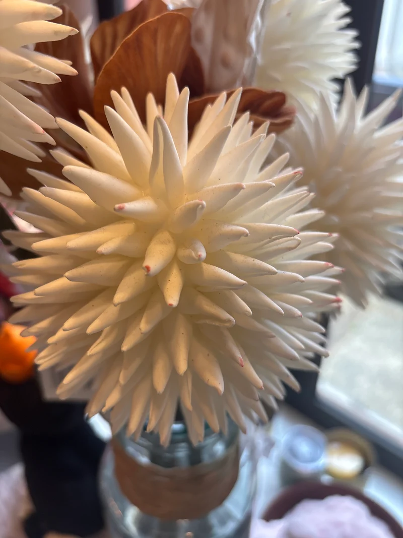 Fleurs ogneo blanche