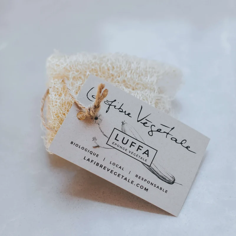 Luffa naturel pour la vaisselle – Cultivé au Québec