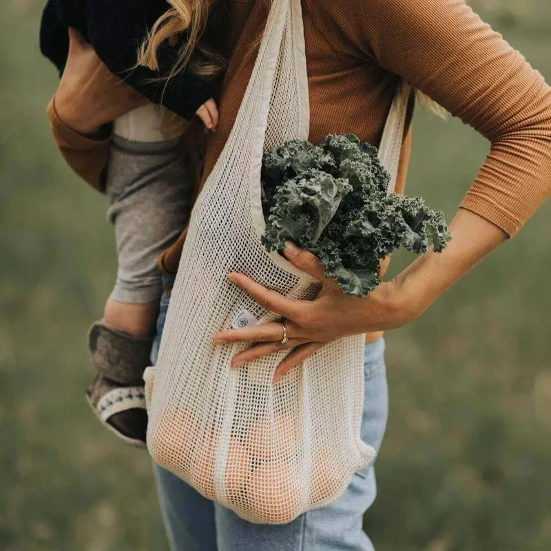 Le petit pratique en filet