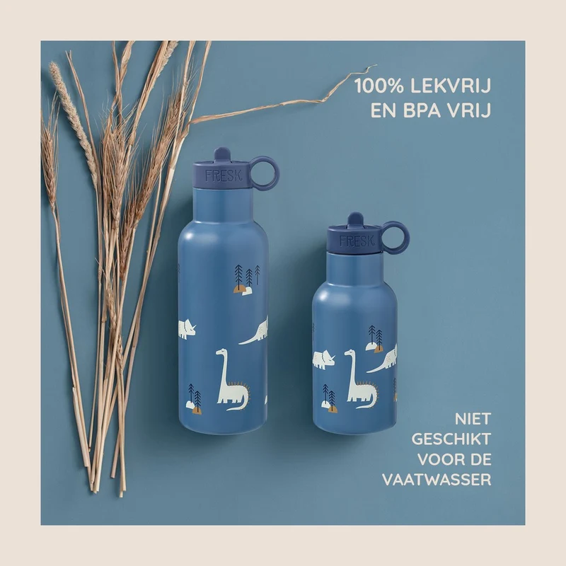 Gourde isotherme - Dino