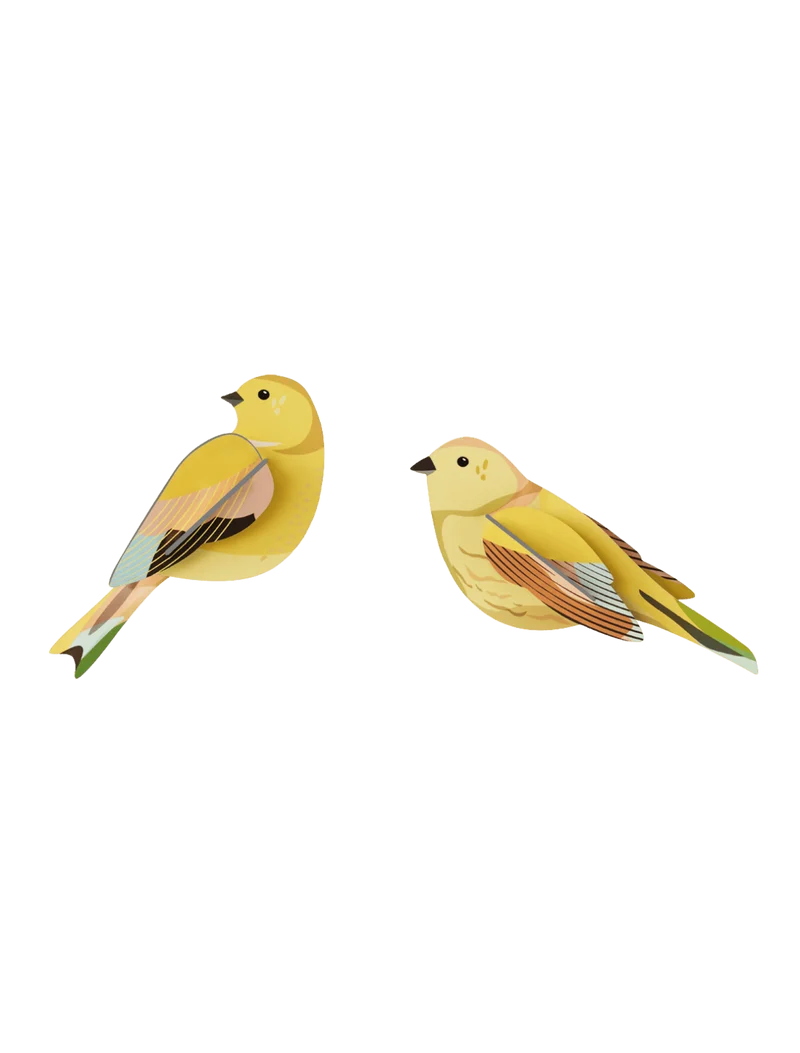 Décoration Murale - Garden Bird - Citrinella Pair