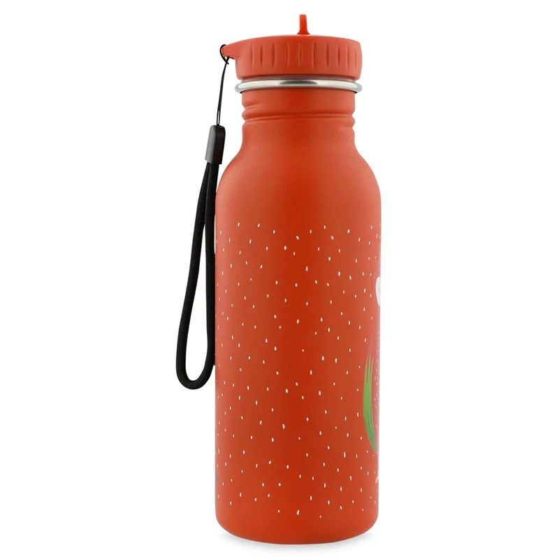 Gourde 500 ml - Mr. Parrot