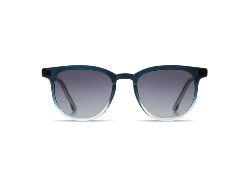 Lunettes de Soleil Francis Junior Bluescale