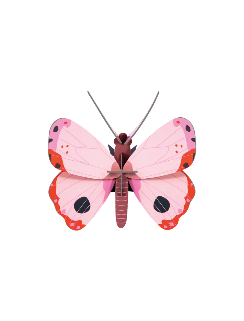 Décoration Murale - Small Insects - Rosora Butterfly