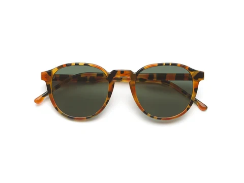 Lunettes de Soleil Liam Amber Shell