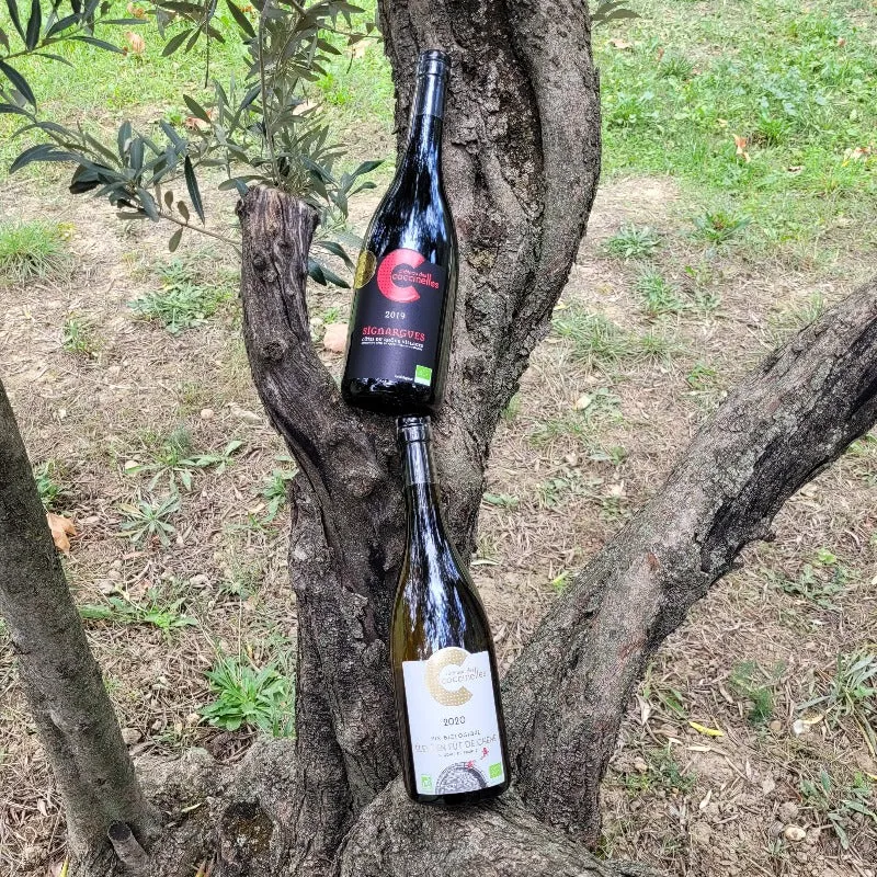 Coffrets de vins biologiques Côtes du Rhône Château des Coccinelles® 🇫🇷