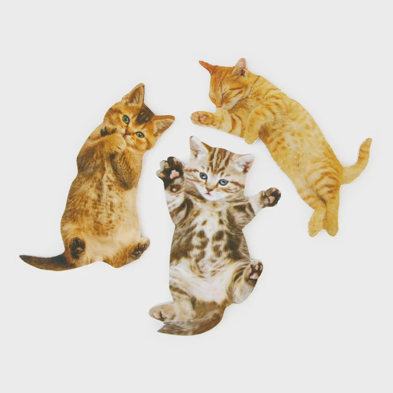 Limes à Ongles - Cat Nail files