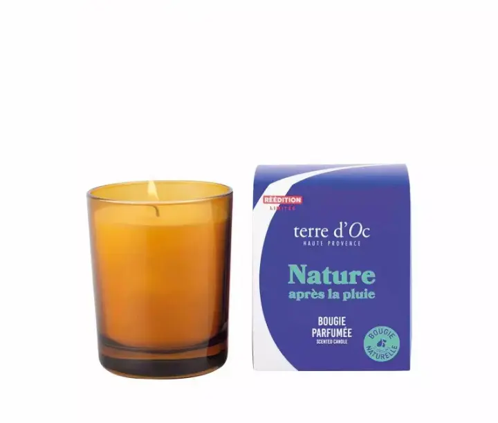 Bougie Parfumée - Nature Après la Pluie