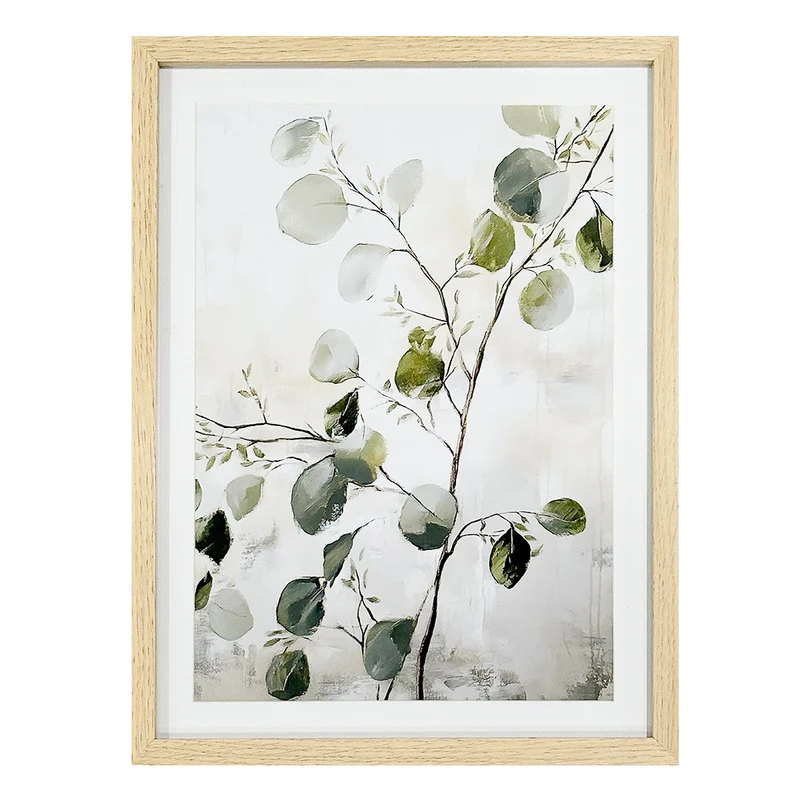 Cadre naturel - Branche d'eucalyptus